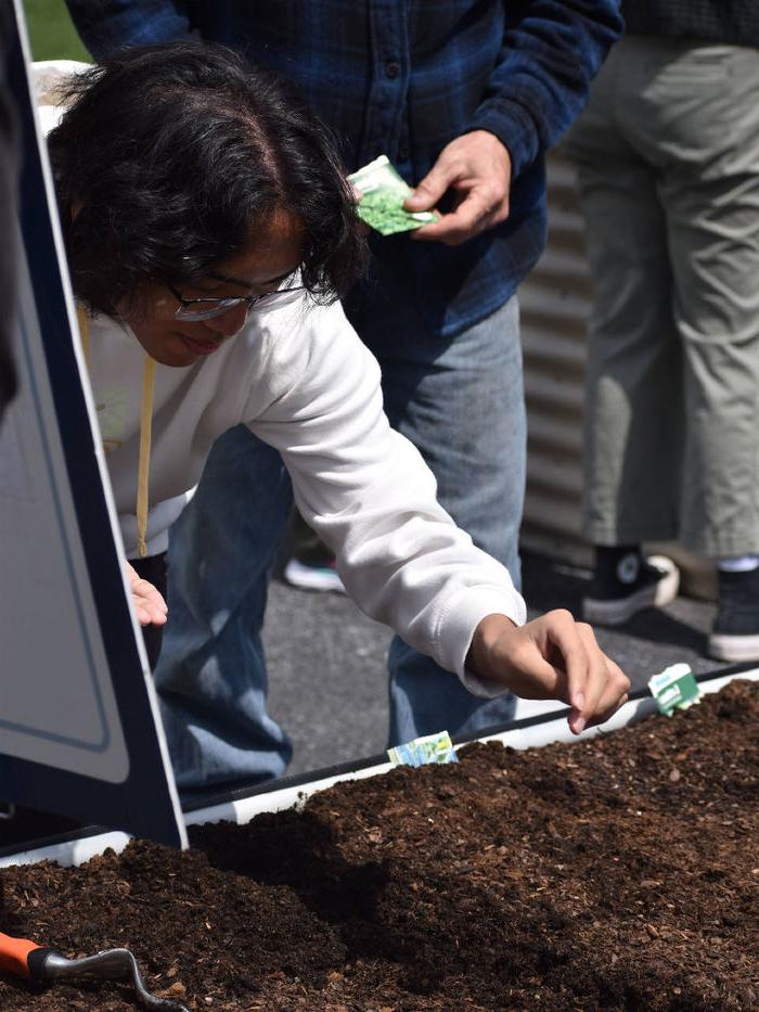 A student leans down to plant a seed at the Berks garden